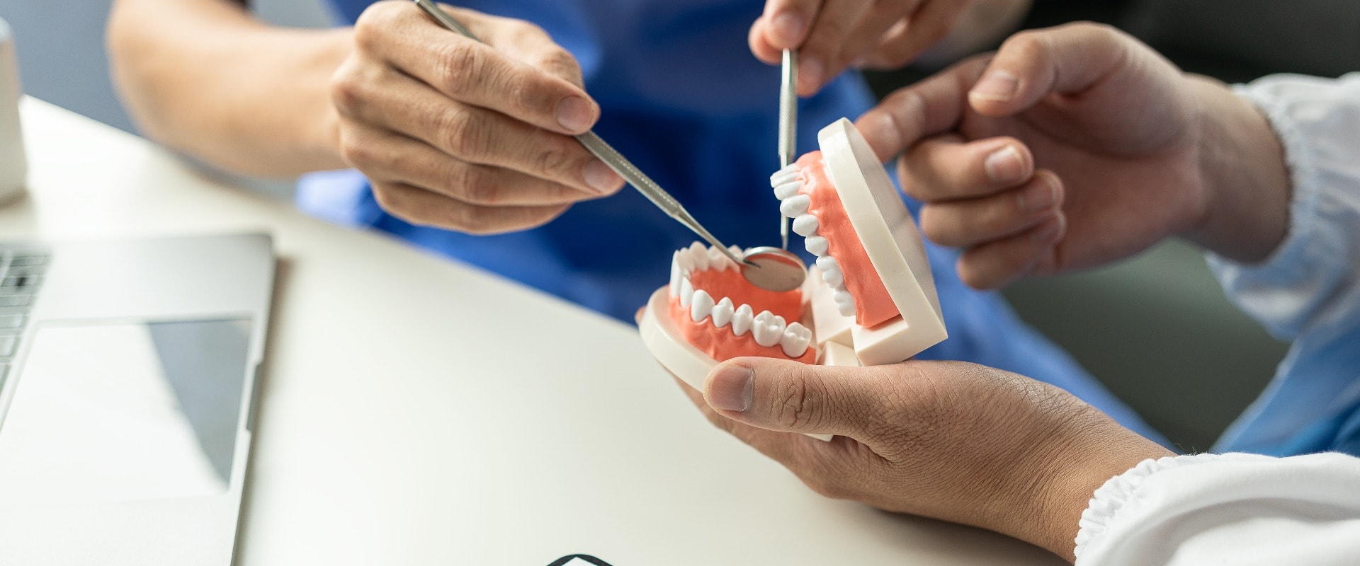 consult a dentist at the dental clinic office The dentist holds a model of the tooth for examination and research.